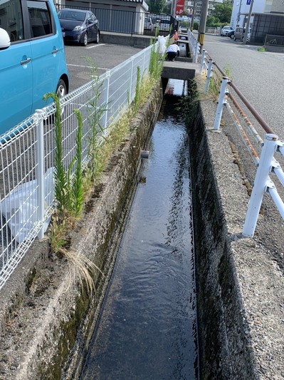 除草前.jpgのサムネール画像のサムネール画像