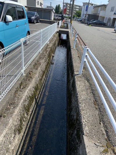 除草後.jpgのサムネール画像のサムネール画像